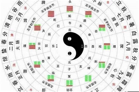 強土命|土命是什么命运 土命分为哪几种类型